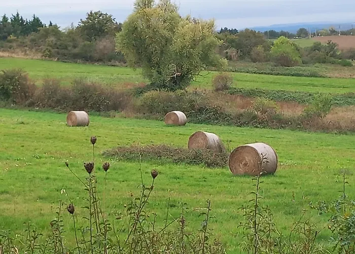 Gite L\'Hirondelle En Auvergne