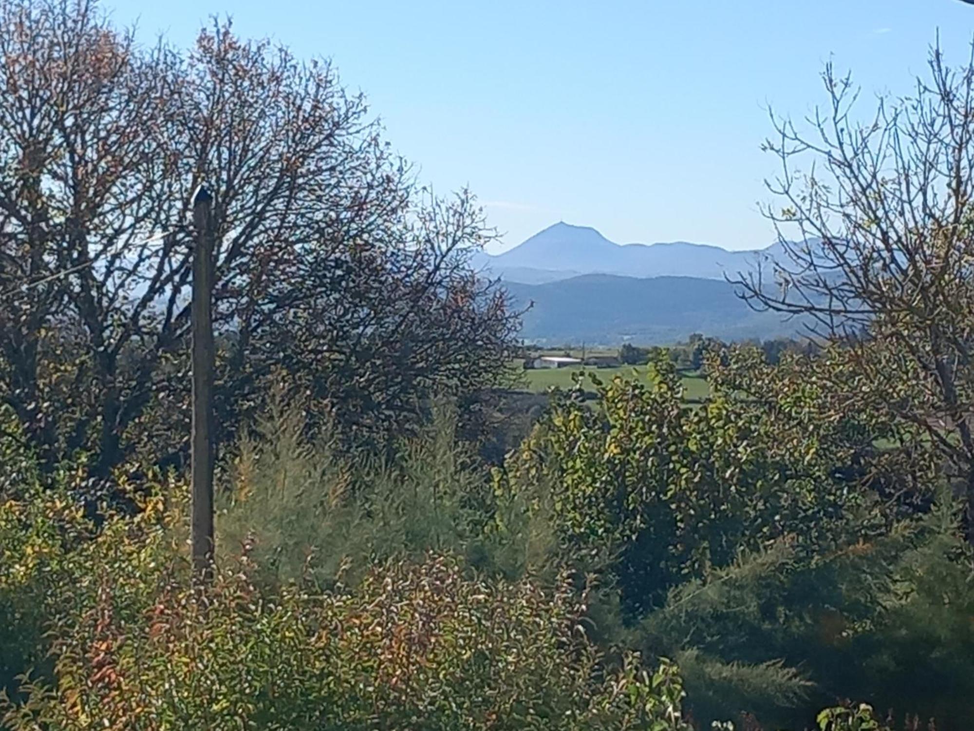 L'hirondelle En Auvergne * Champs (Auvergne)